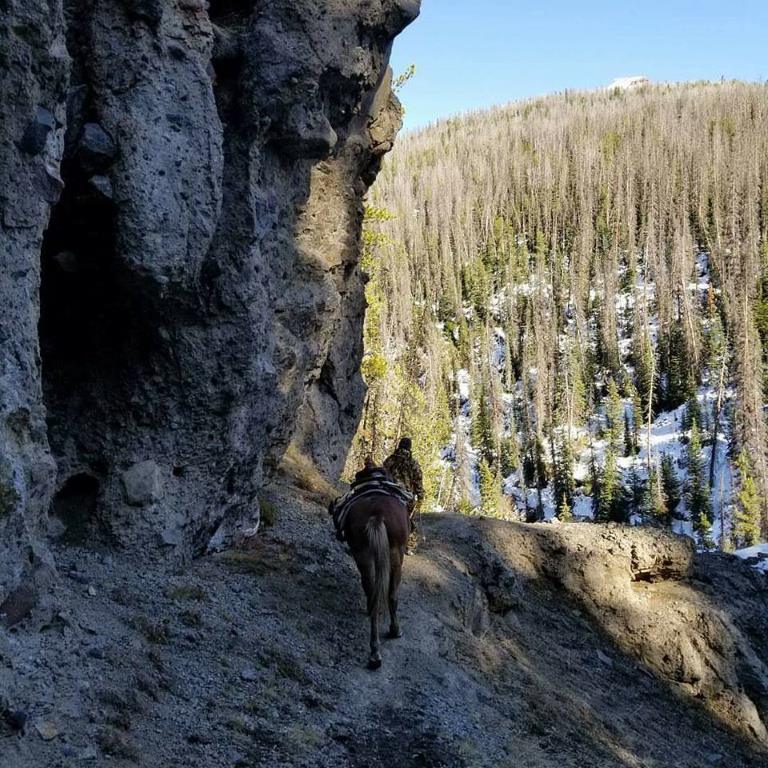 Summer Gallery Bliss Creek Outfitters Cody Wyoming Rusty Sanderson